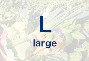 [L] large